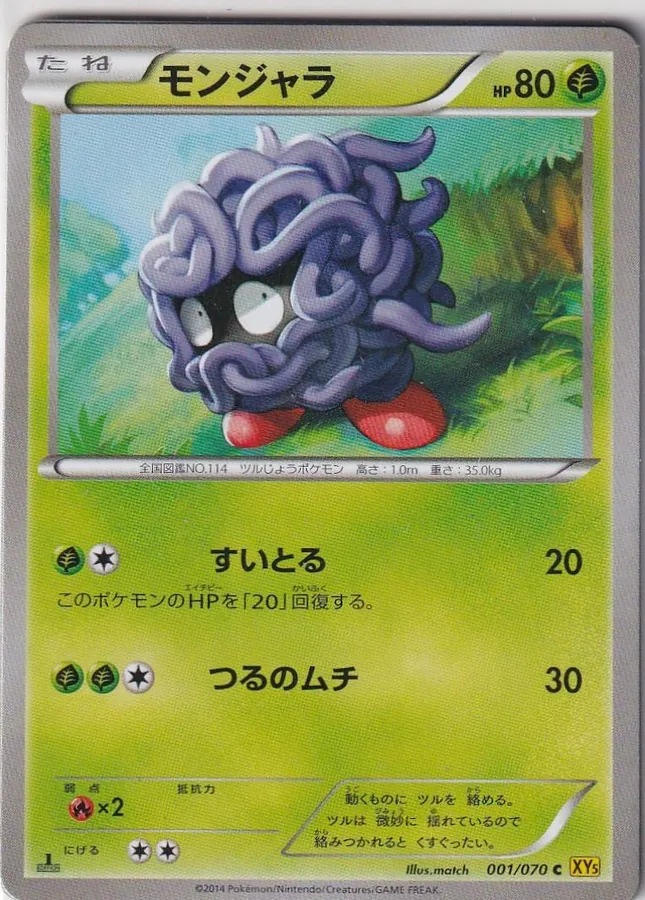 Tangela [1st-Edition]